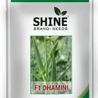Okra - Damini F1