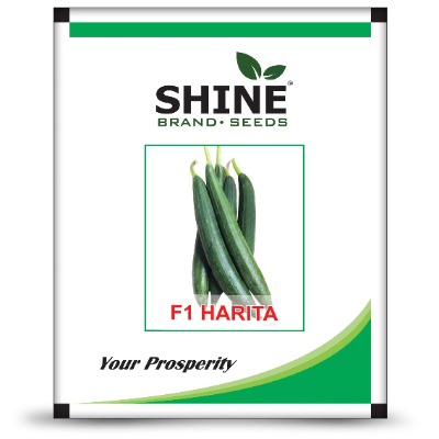 Sponge Gourd - Harita F1