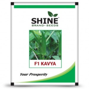Okra - Kavya F1 Bhindi