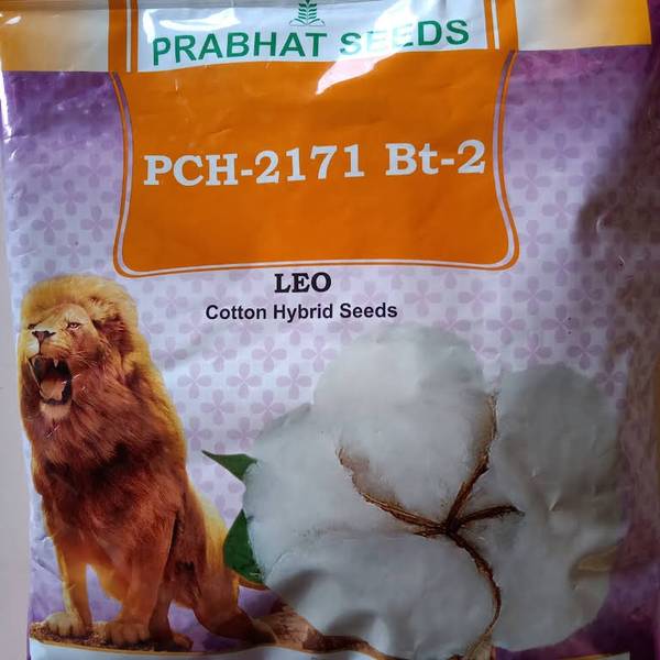 Prabhat Leo (COTTON SEEDS) PCH 2171 BG2