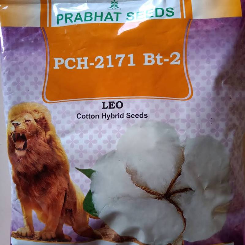 Prabhat Leo (COTTON SEEDS) PCH 2171 BG2