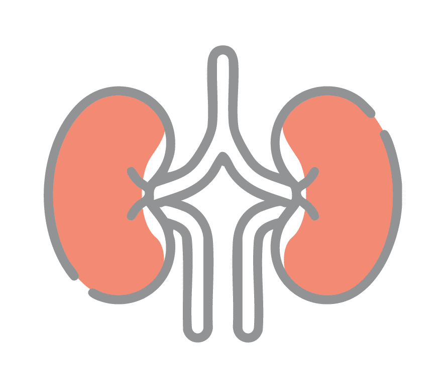Kidney Cancer
