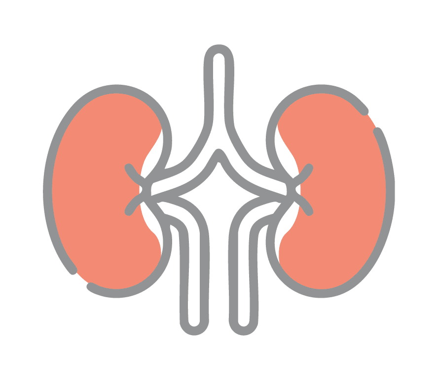 Kidney Cancer