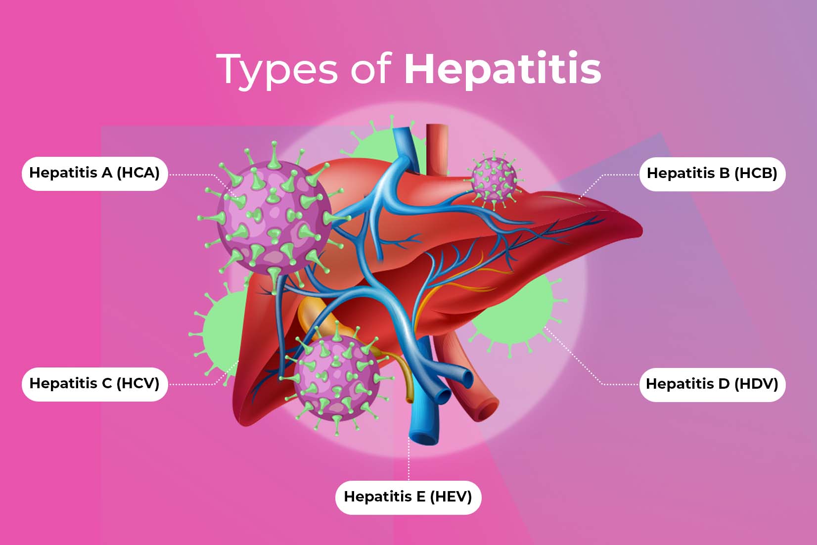 Types of Hepatitis