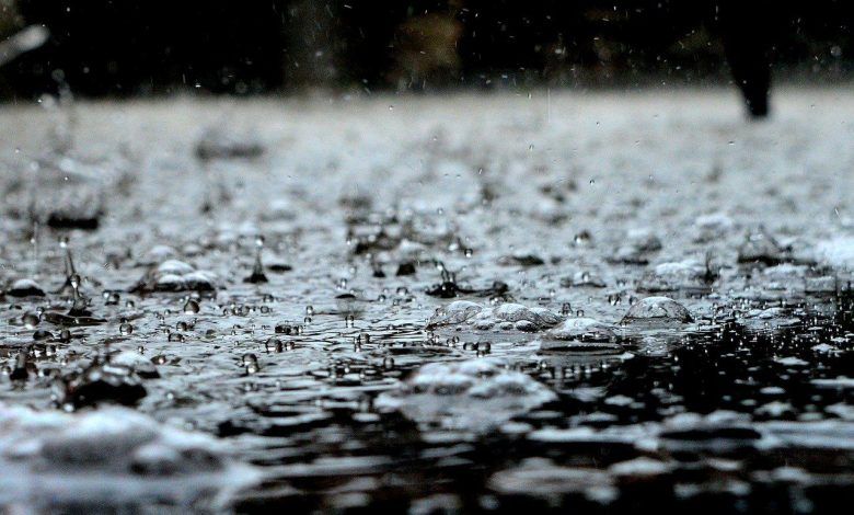 Met Department predicts intense cold wave conditions across Northwest India for next 2 days 1 111 11