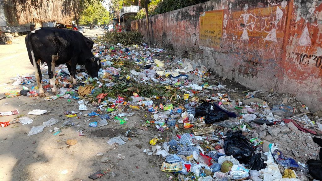 Swachh Survekshan 2022: Swachh Survey Will Start In Meerut From March 1 4 111 44
