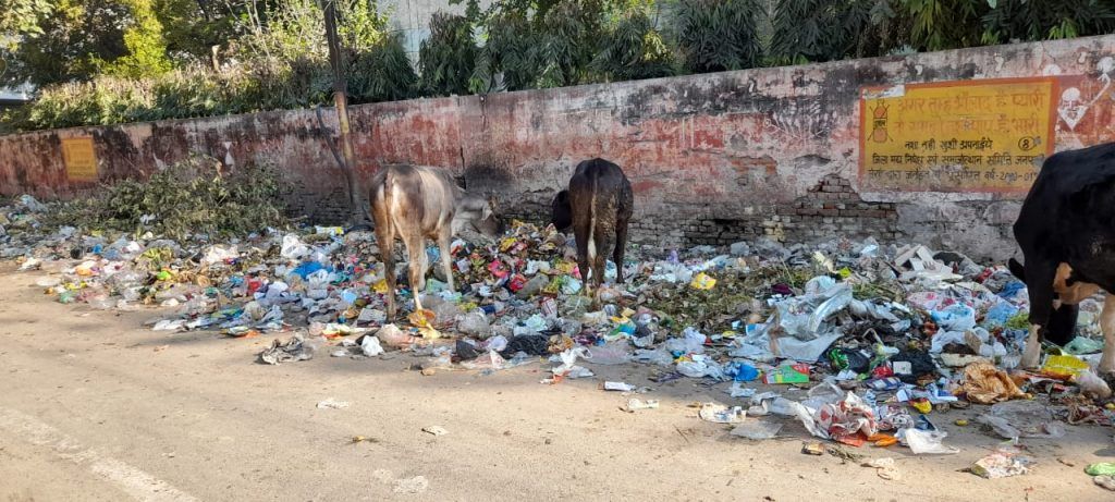 Swachh Survekshan 2022: Swachh Survey Will Start In Meerut From March 1 5 112 30