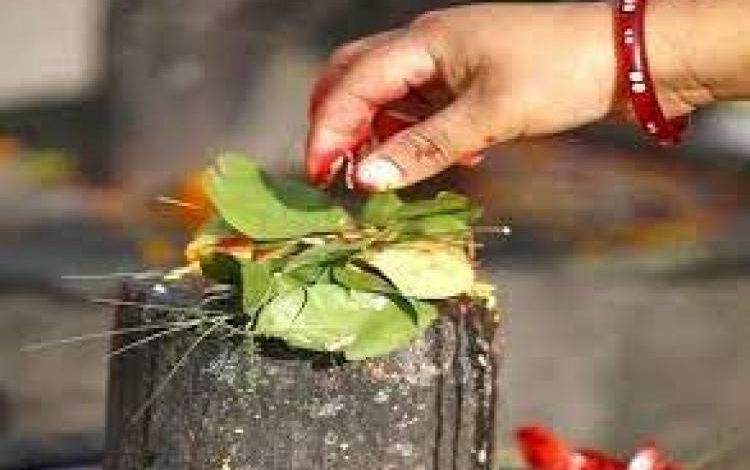 महाशिवरात्रि: इस वजह से प्रिय है जल और बेलपत्र 1 featured 1645156815