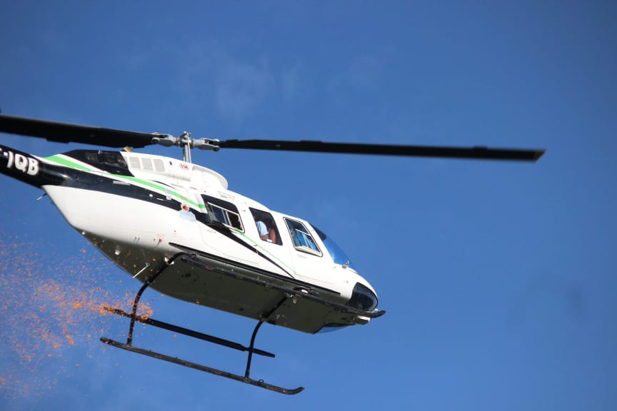 Kanwar Yatra : through my lens.. 14 114 42