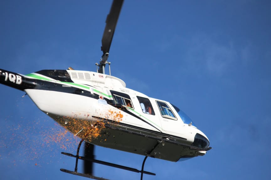 Kanwar Yatra : through my lens.. 15 115 32