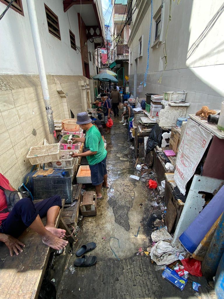 Indonesia : ‘unity in diversity’ ;Travelogue Day 15 11 116 12