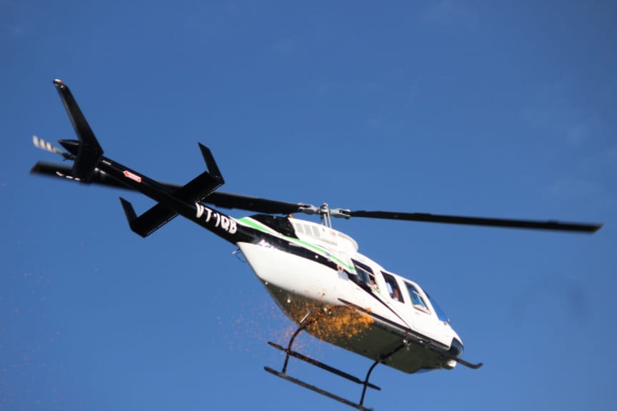 Kanwar Yatra : through my lens.. 17 117 21