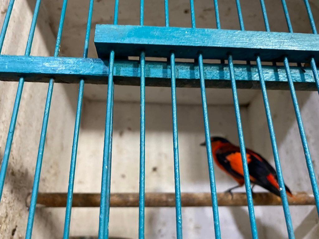Indonesia : ‘unity in diversity’ ; Travelogue Day 10 10 119 3