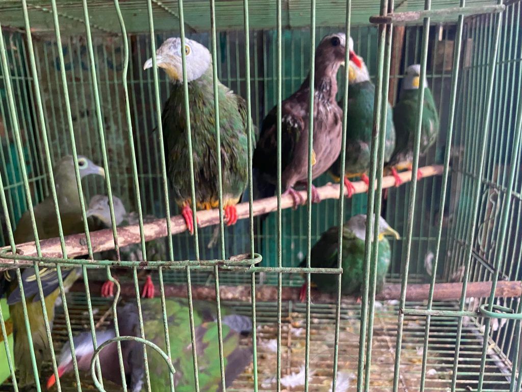 Indonesia : ‘unity in diversity’ ; Travelogue Day 10 14 123 2