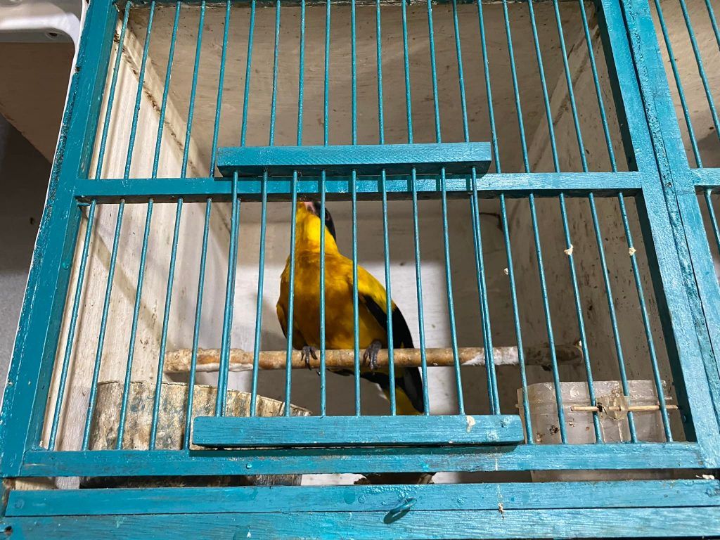 Indonesia : ‘unity in diversity’ ; Travelogue Day 10 16 125 1