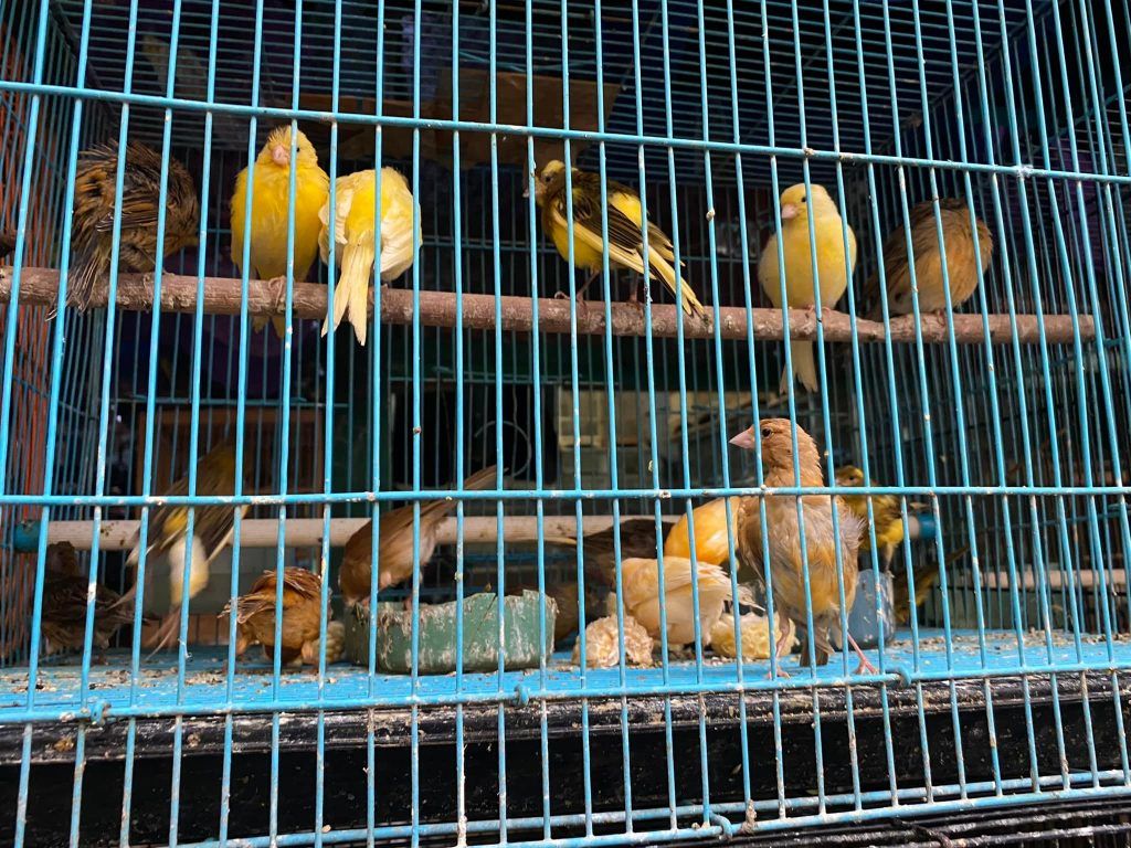 Indonesia : ‘unity in diversity’ ; Travelogue Day 10 20 129 1