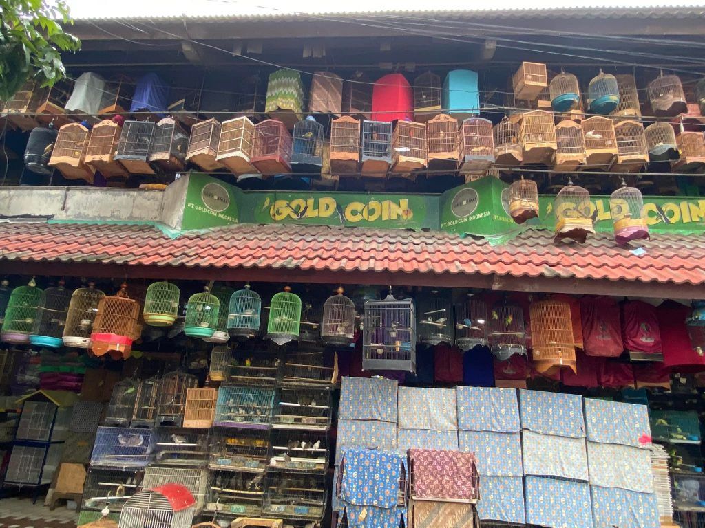Indonesia : ‘unity in diversity’ ; Travelogue Day 10 24 133 1