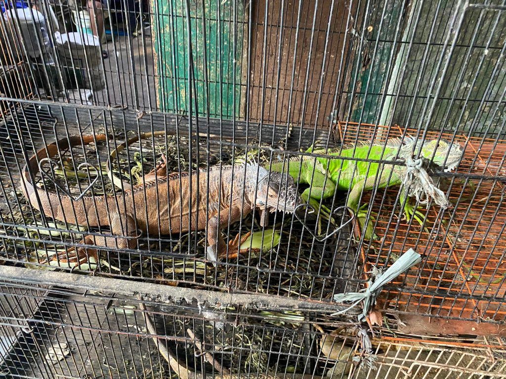 Indonesia : ‘unity in diversity’ ; Travelogue Day 10 31 140 1