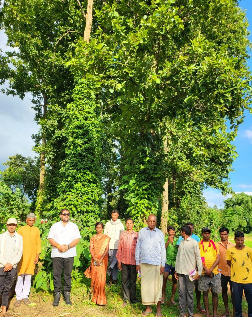 "काले-मोतियों की खेती से धीरे धीरे बदल रही बस्तर के आदिवासियों की जिंदगी" 3 113 25
