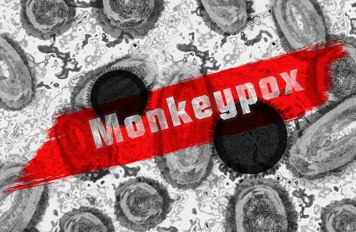 मेरठ में स्कूल के छात्रों में मिले मंकीपॉक्स के लक्षण 1 monkey pox 7217582 480 1