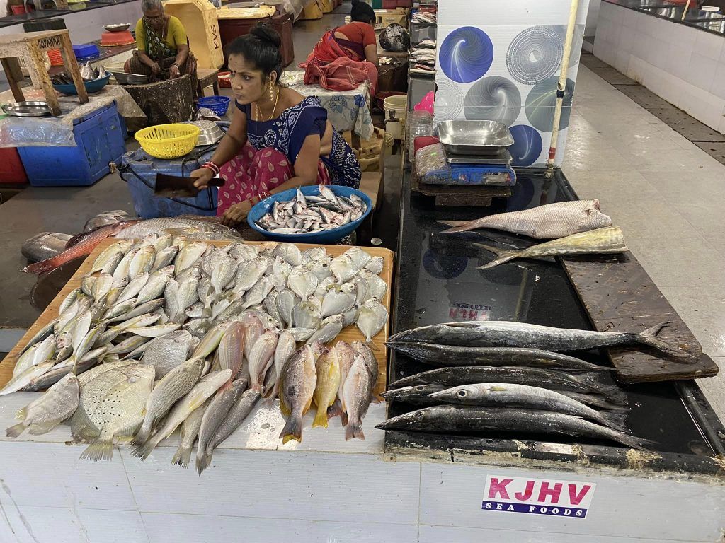 Andaman & Nicobar Islands Diary: Of fishing and fishermen 13 111 92