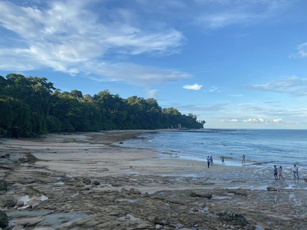 Andaman & Nicobar Islands Diary: Neil Island (Shaheed Dweep) 2 112 33
