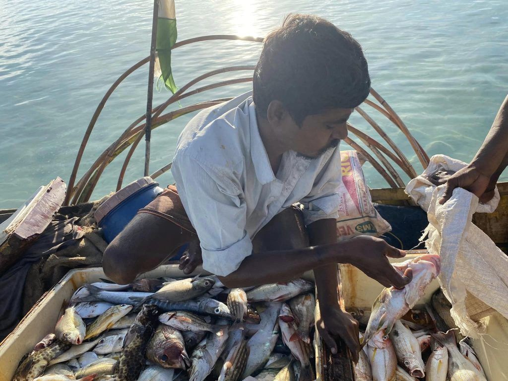 Andaman & Nicobar Islands Diary: Of fishing and fishermen 3 113 39