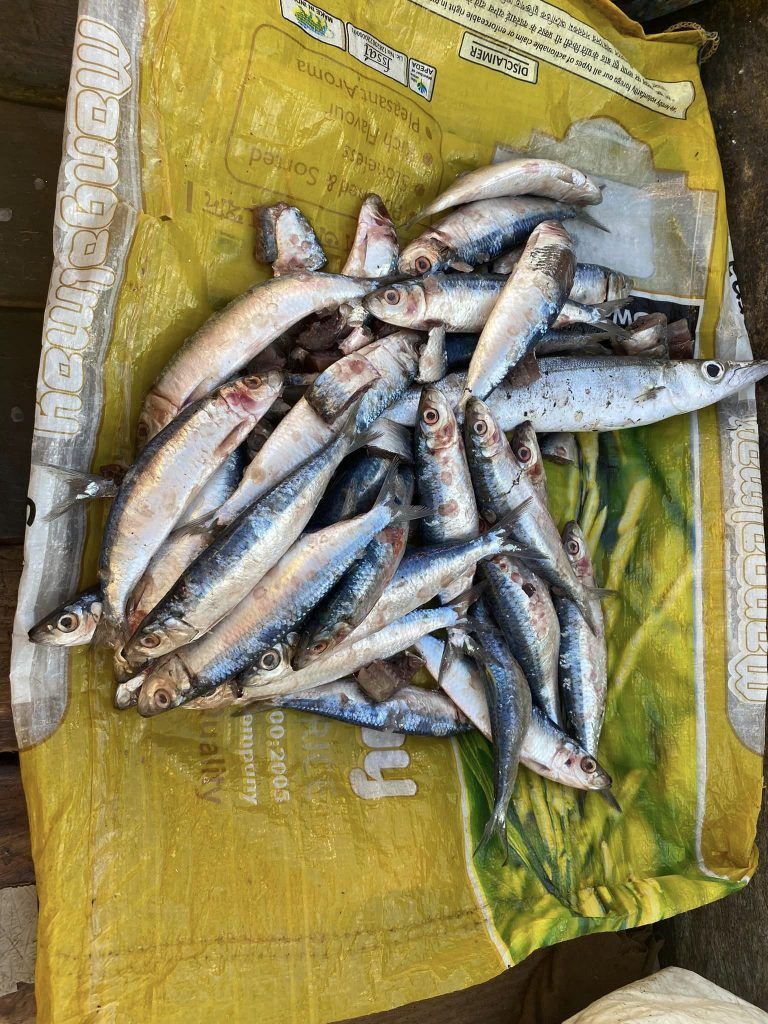 Andaman & Nicobar Islands Diary: Of fishing and fishermen 6 116 16