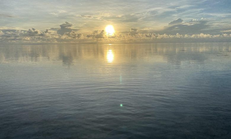 Andaman & Nicobar Islands Diary: Havelock Island (Swaraj Deep) 1 119 1