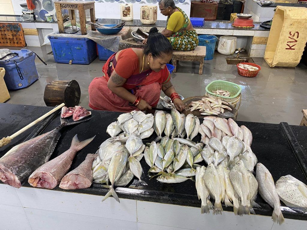 Andaman & Nicobar Islands Diary: Of fishing and fishermen 14 124 1
