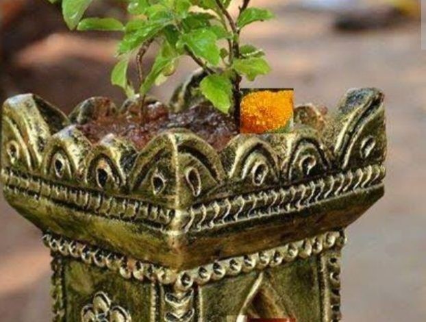 सूर्यास्त के बाद तुलसी के पास जलाएं दीपक और तुलसी के आठ नाम वाले मंत्र का जाप करें 1 111 15