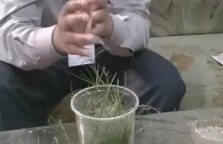 उत्तर प्रदेश के मेरठ में छात्र ने तैयार किया किचन वेस्ट से पेपर 1 111 53
