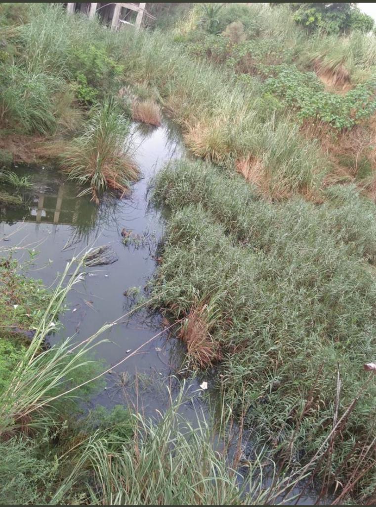 उत्तर प्रदेश में मच्छर जनित बीमारियों का कहर.. 2 112