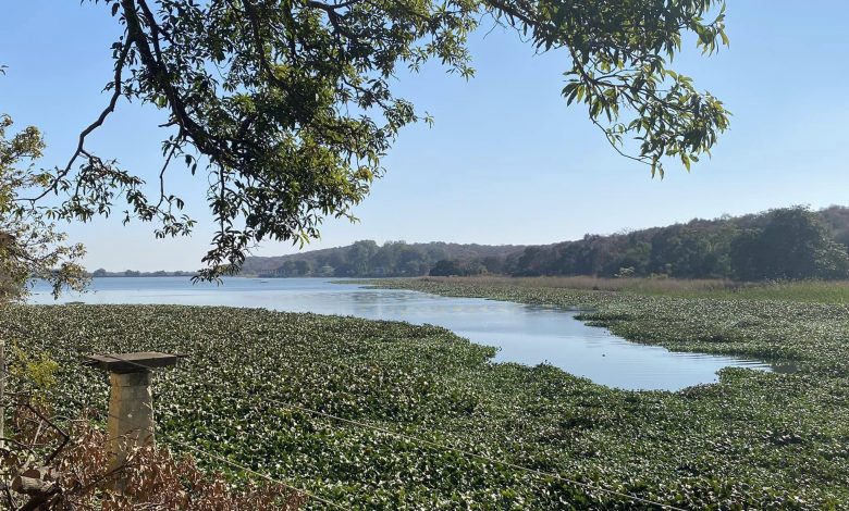 Shivpuri:Far from the madding crowd-Travelogue Day 3 1 111 8