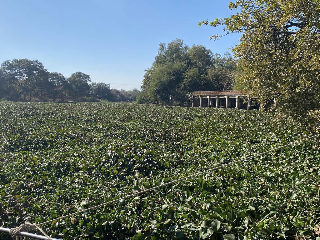 Shivpuri:Far from the madding crowd-Travelogue Day 3 2 112 5