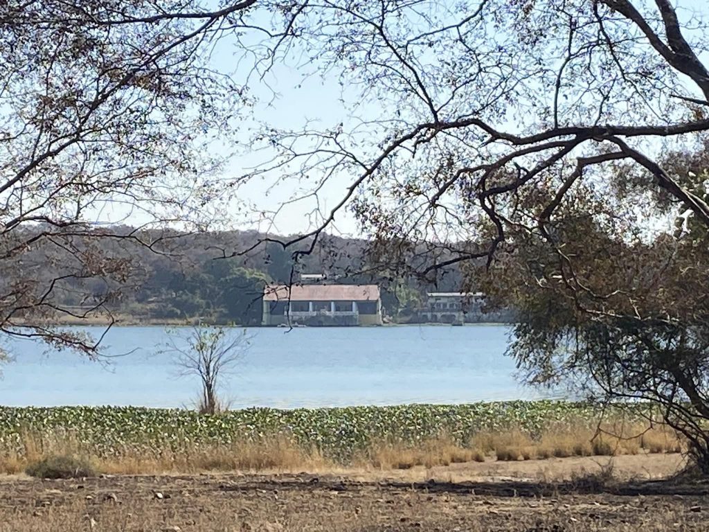Shivpuri:Far from the madding crowd-Travelogue Day 1 5 115