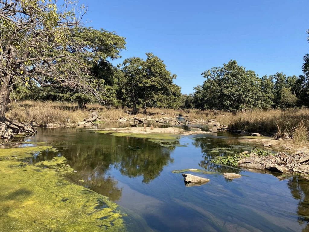 Shivpuri:Far from the madding crowd-Travelogue Day 1 6 116