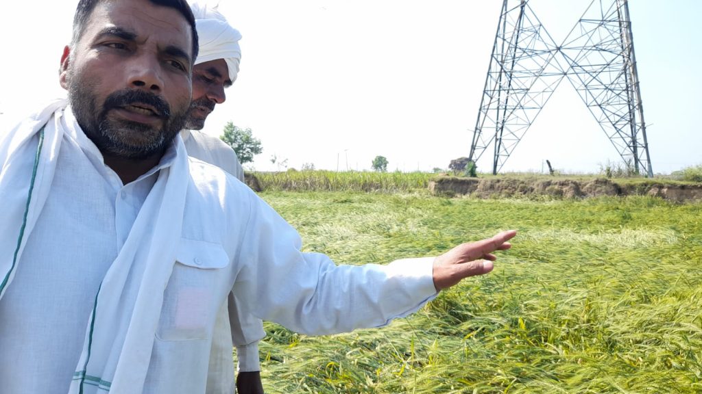पश्चिम उत्तर प्रदेश में हुई बारिश और ओलावृष्टि से किसानों की फसल को बड़ा नुकसान 2 111 51