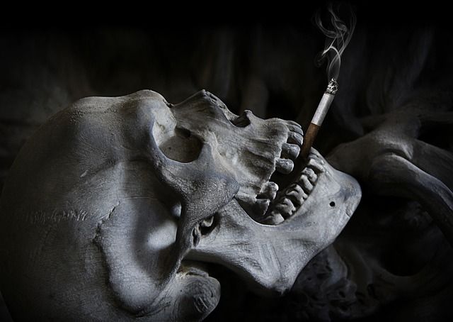 Smoke-Free Smiles: Igniting Change on World No Tobacco Day! 3 113 49