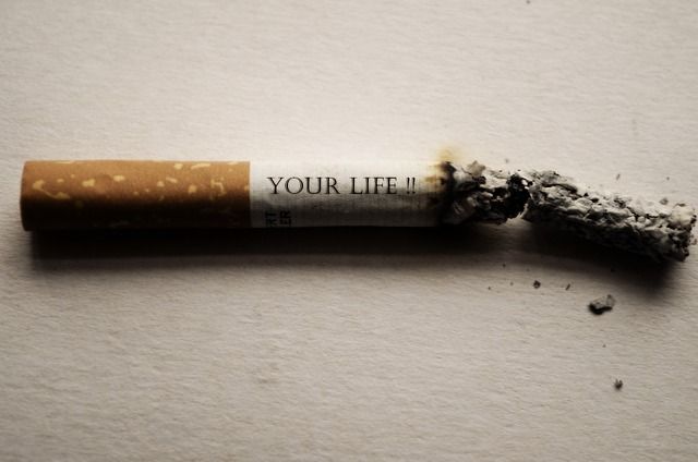 Smoke-Free Smiles: Igniting Change on World No Tobacco Day! 6 114 27