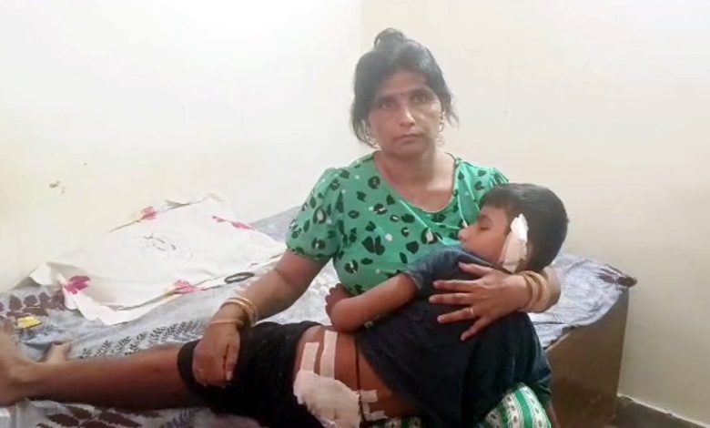 Young Boy Brutally Attacked by Pet Pit Bull: Ghaziabad Residents Demand Stricter Regulations 1 113 12