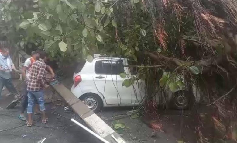 Tree and Electric Pole Collapse in Patel Nagar Amidst Heavy Rains: One Injured, Property Damaged 1 111 26