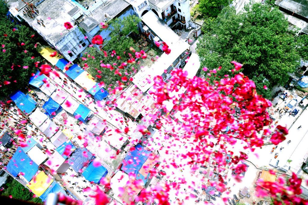 Chief Minister Embraces Spiritual Harmony: Kanwariyas Showered with Flowers on Delhi-Roorkee Highway 3 111 46
