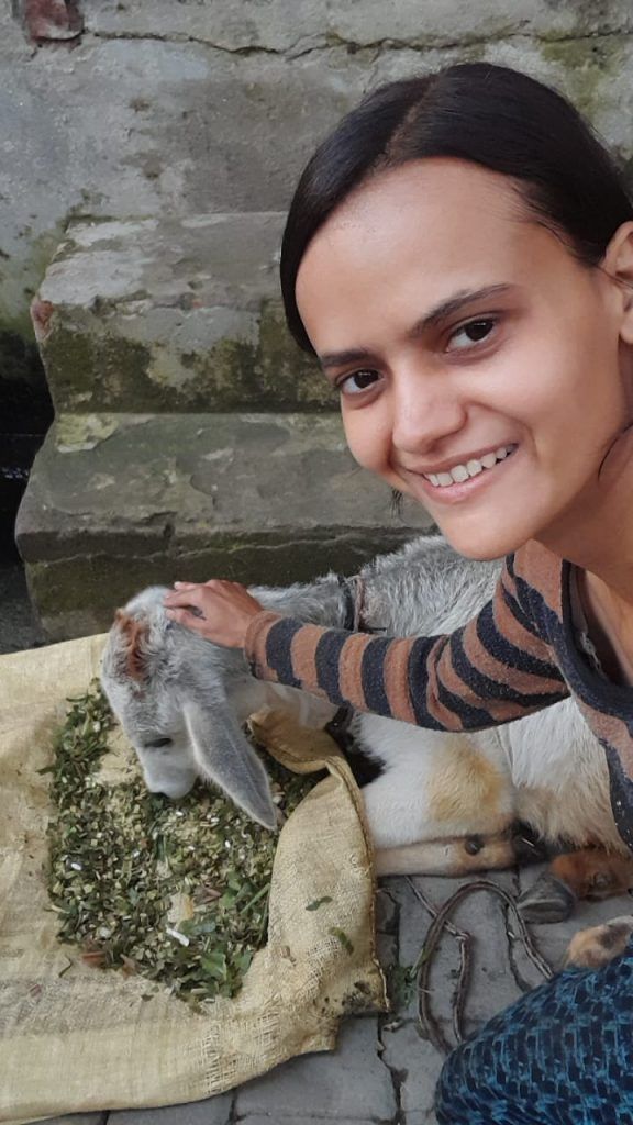 Jasmine Malik: The Cow Guardian Angel - Single-Handedly Caring for 50 Cattle, Defying All Odds! 6 113 12