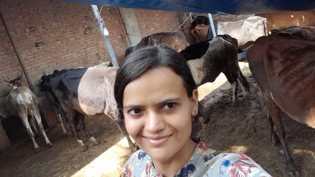 Jasmine Malik: The Cow Guardian Angel - Single-Handedly Caring for 50 Cattle, Defying All Odds! 4 116 2