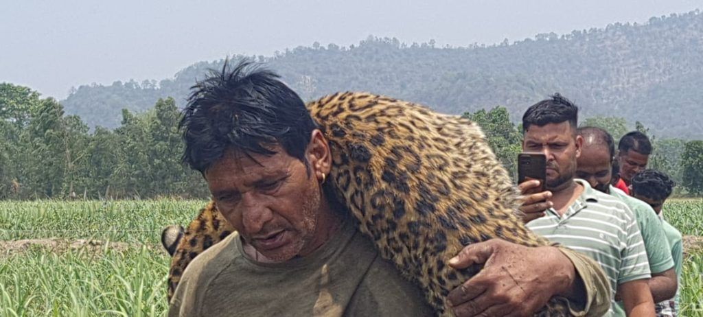 TV Star's Shocking Turn: From Hero to Villain as Leopard Carcass Saga Unfolds ! 3 113 16