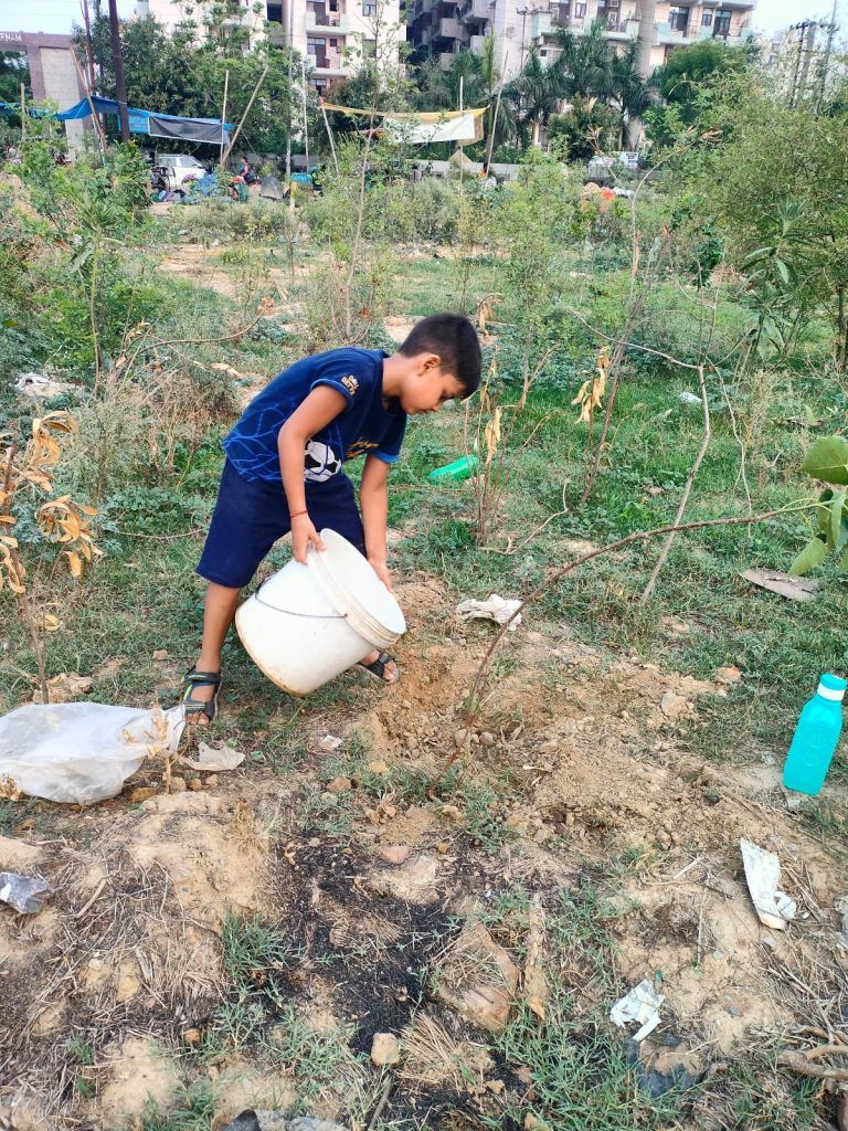 Hundreds of Neem and Peepal Trees Planted in Raj Nagar Extension Mini Forest Initiative 3 112 56