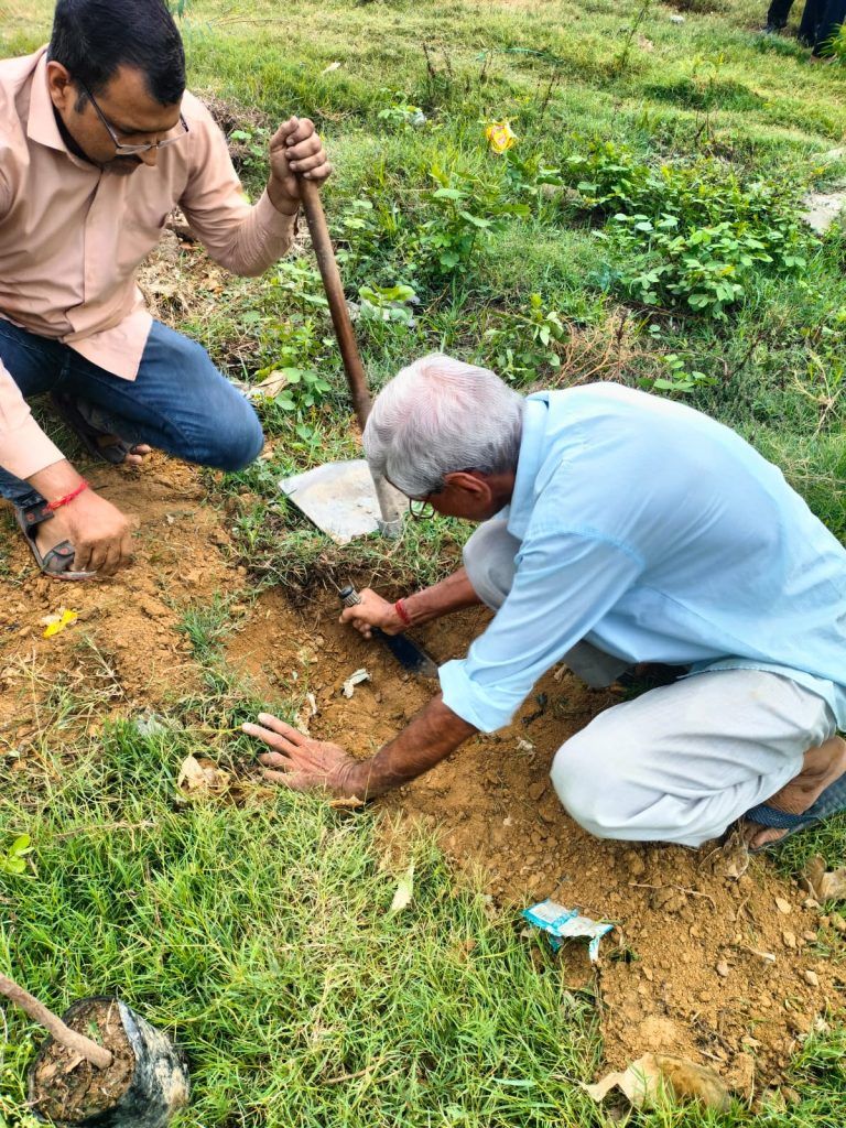 Hundreds of Neem and Peepal Trees Planted in Raj Nagar Extension Mini Forest Initiative 7 117 4