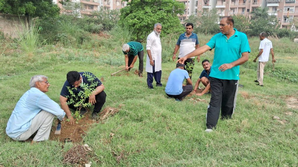 Hundreds of Neem and Peepal Trees Planted in Raj Nagar Extension Mini Forest Initiative 8 119 3