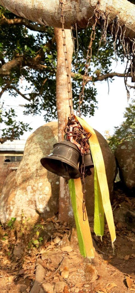 A Foot Traveler's Tale: Discovering Guwahati's Hidden Trails 8 116 2